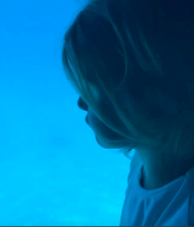 Schermata 2017-08-21 alle 12.33.29.png